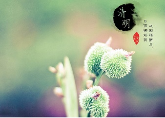 2019年清明节放假通知