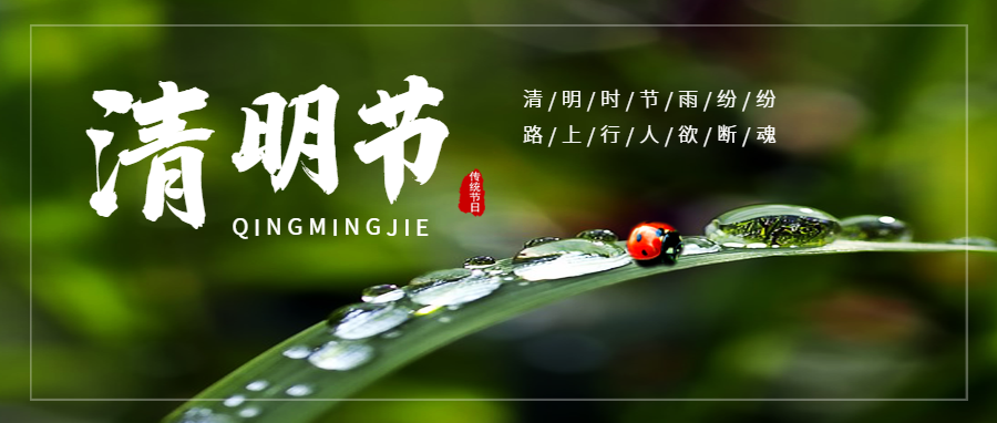 简约清明节众号封面首图1.png